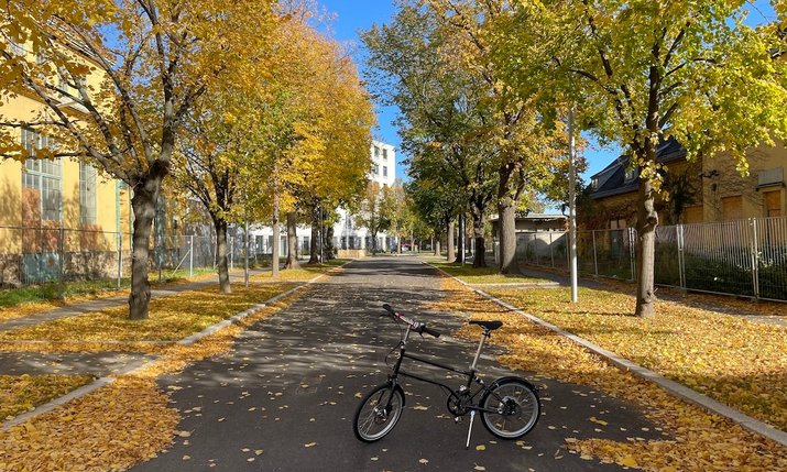 Herbststimmung mit Bäumen und alten Bestandsgebäuden