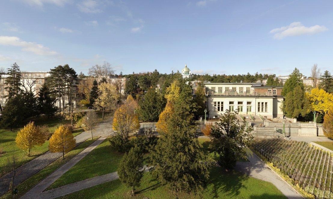 Viel Grünraum mit historischem Gebäude im Hintergrund