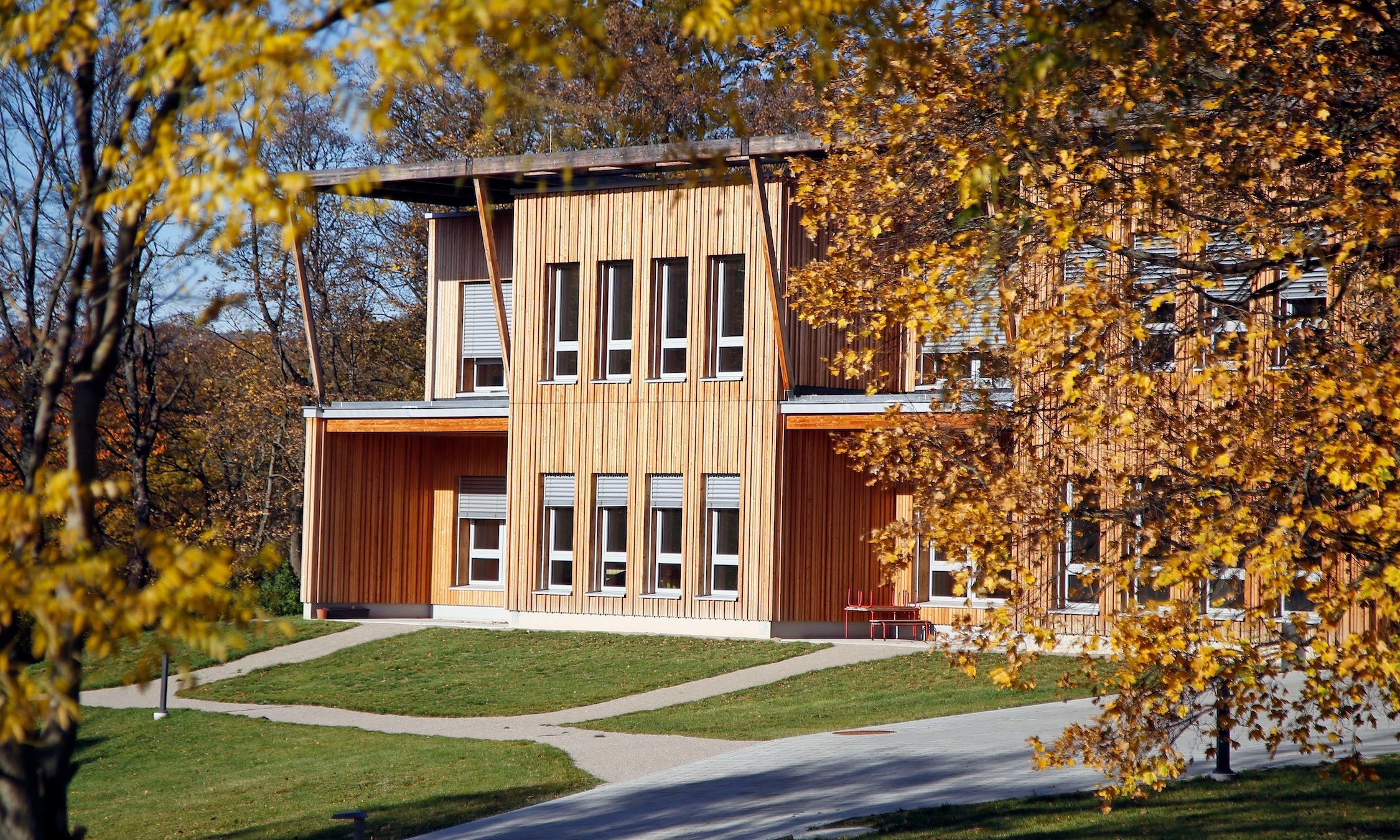 Moderner Schulholzbau mit 2 Stockwerken und großzügigen Fenstern in grüner Umgebung